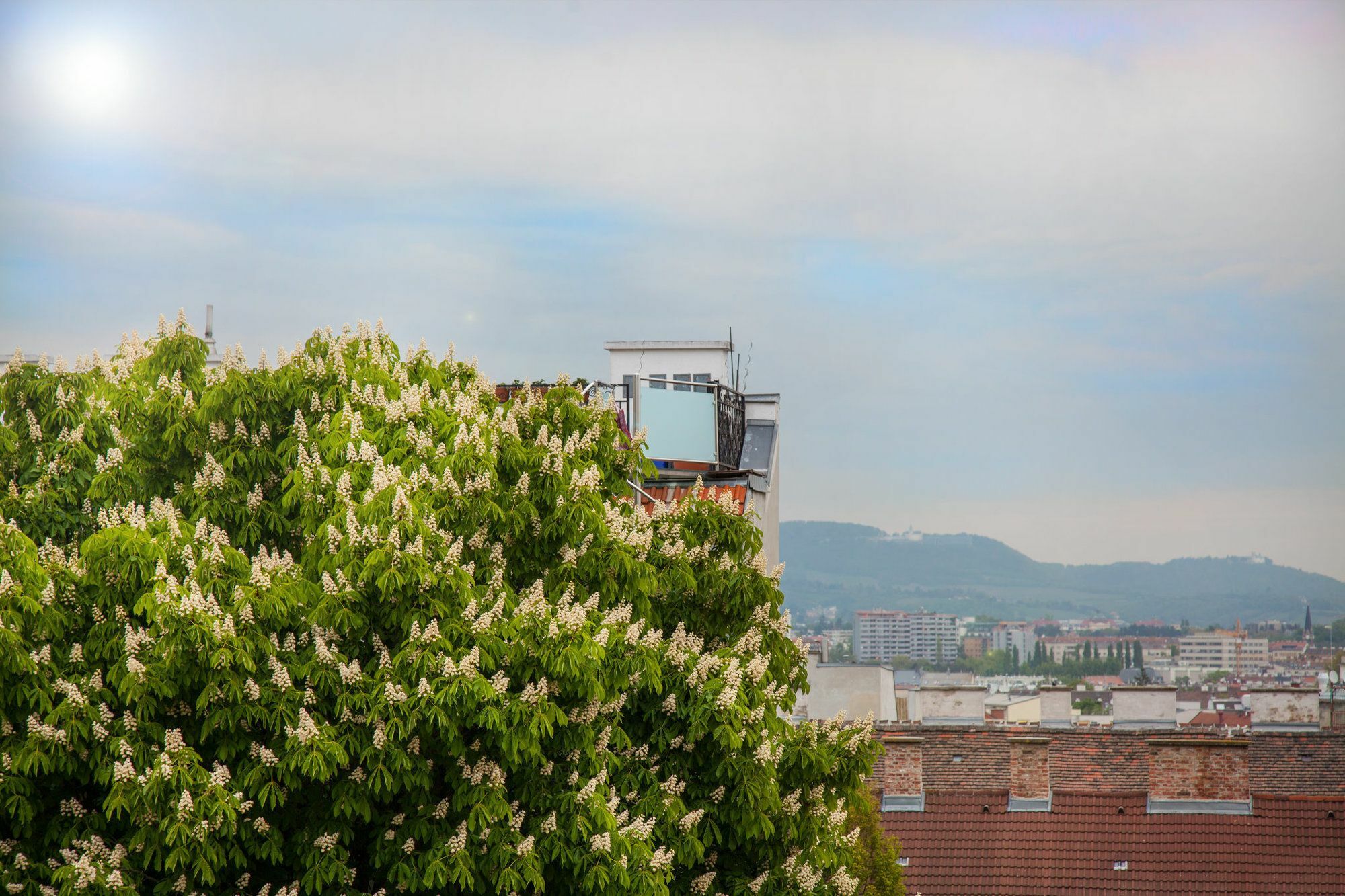 Apartment Balcony