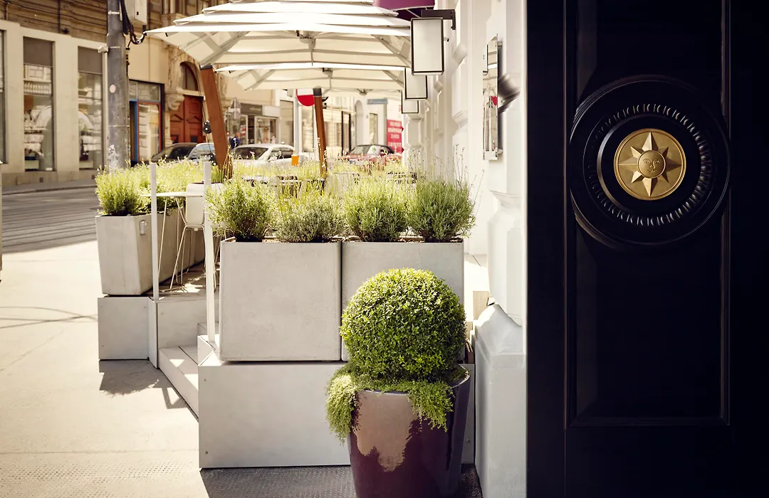 Hotel Sans Souci, Vienna-1